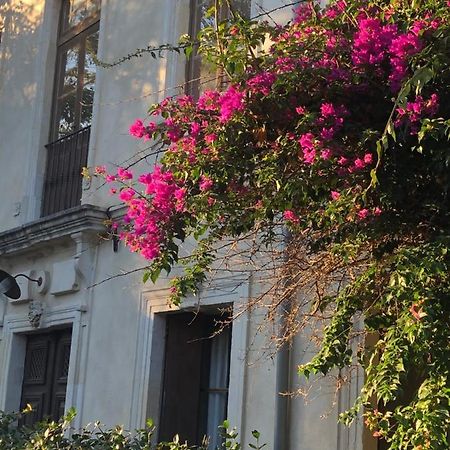 Cuxac-dʼAude L' Ilot Des Iles Bed & Breakfast エクステリア 写真