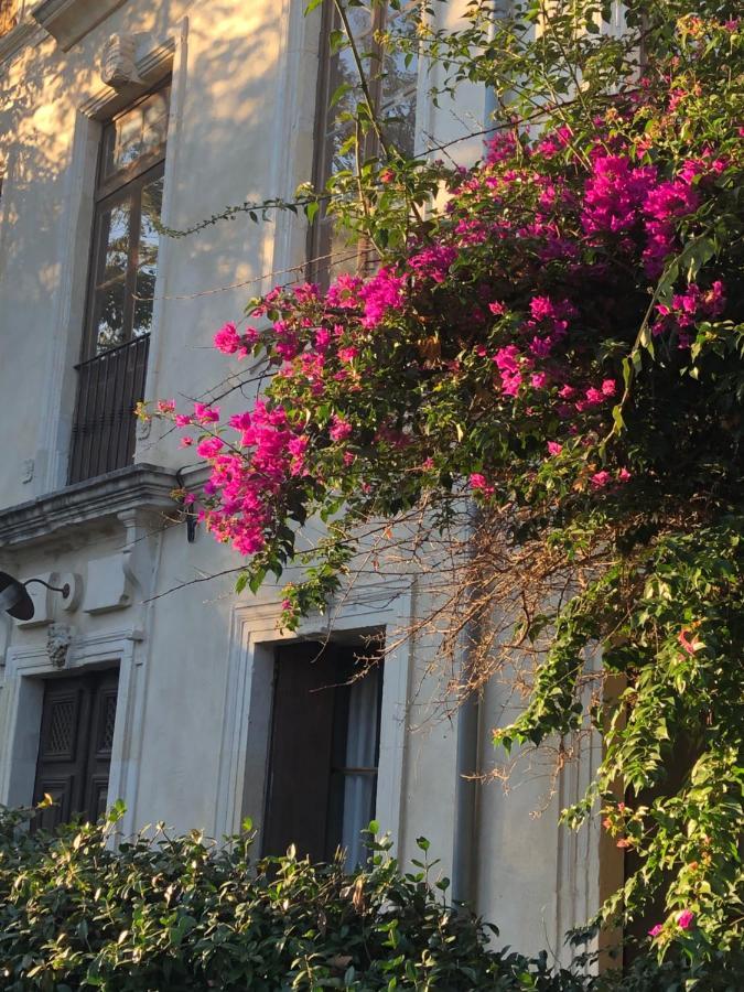 Cuxac-dʼAude L' Ilot Des Iles Bed & Breakfast エクステリア 写真