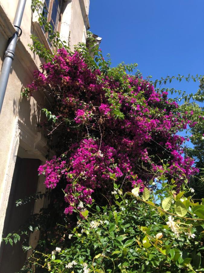Cuxac-dʼAude L' Ilot Des Iles Bed & Breakfast エクステリア 写真